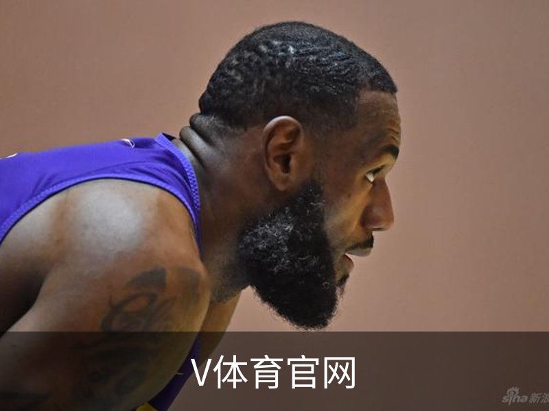 V体育官网概况